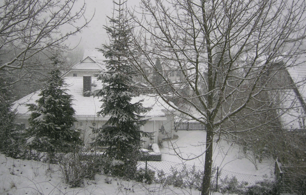 201002-snow.gif