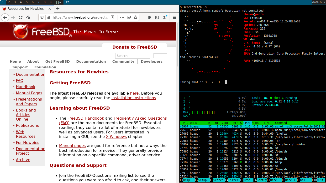 Freebsd команды с дисками