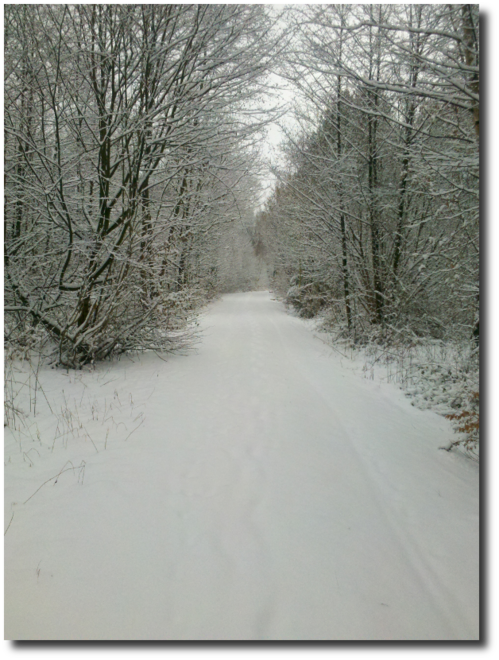 201302-winterlauf-2.png